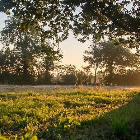 La Cour Souveraine - D'hotes Le Cap Mosles