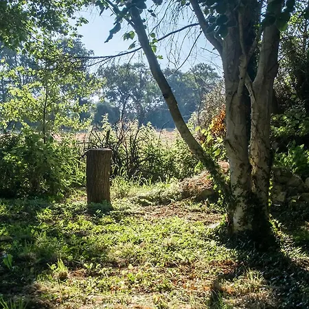 La Cour Souveraine - D'hotes Le Cap Bed & Breakfast