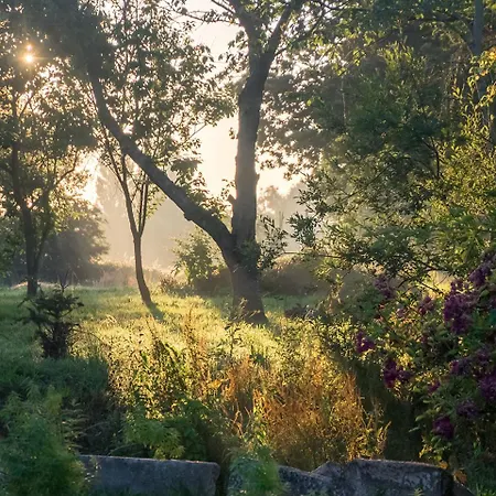 Bed & Breakfast La Cour Souveraine - D'hotes Le Cap *