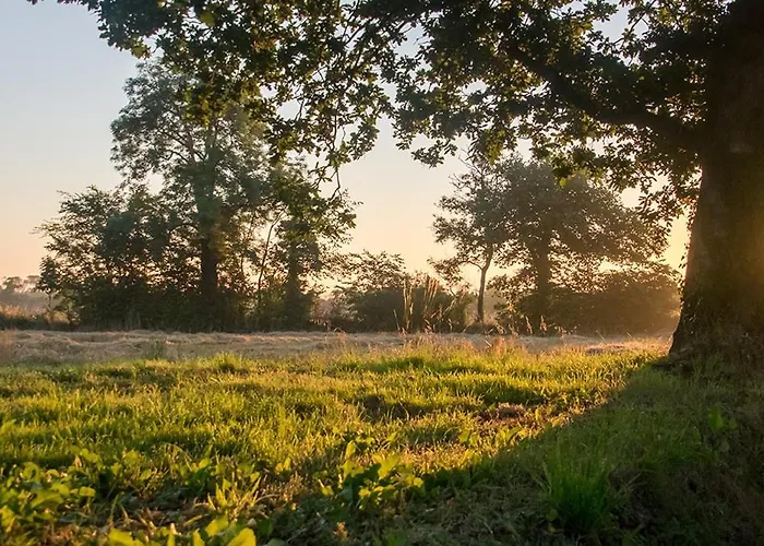 La Cour Souveraine - D'hotes Le Cap Mosles