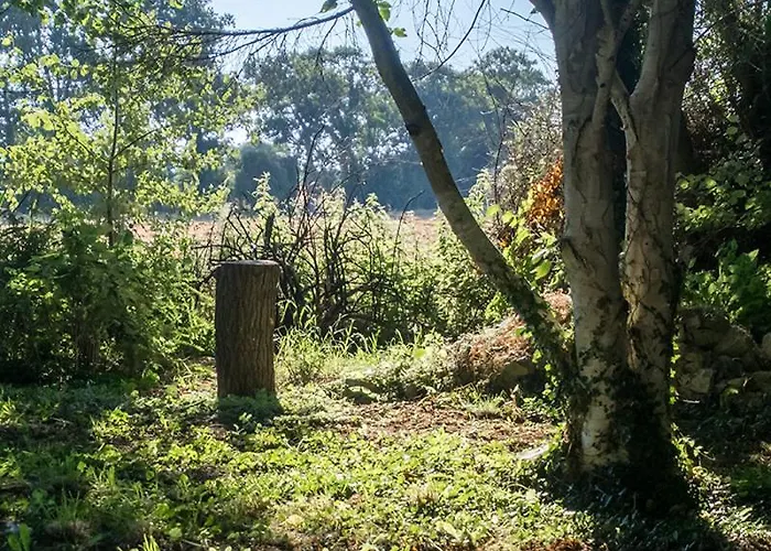 La Cour Souveraine - D'hotes Le Cap Bed & Breakfast