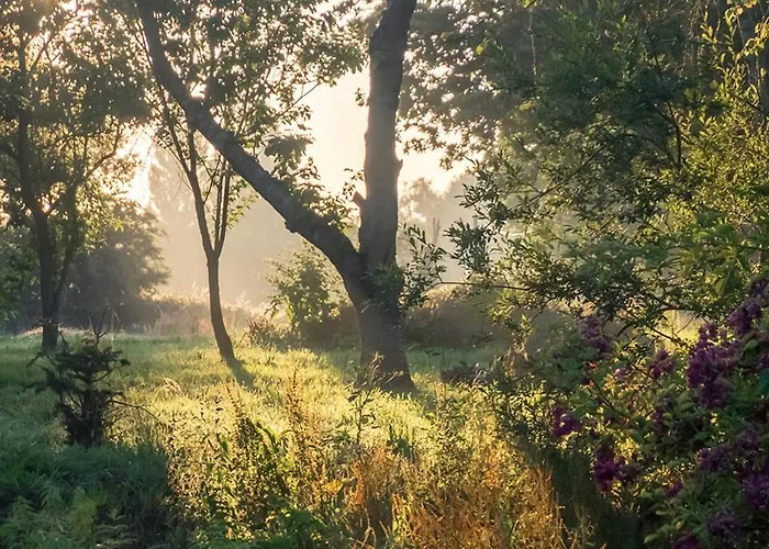 Bed & Breakfast La Cour Souveraine - D'hotes Le Cap 3*