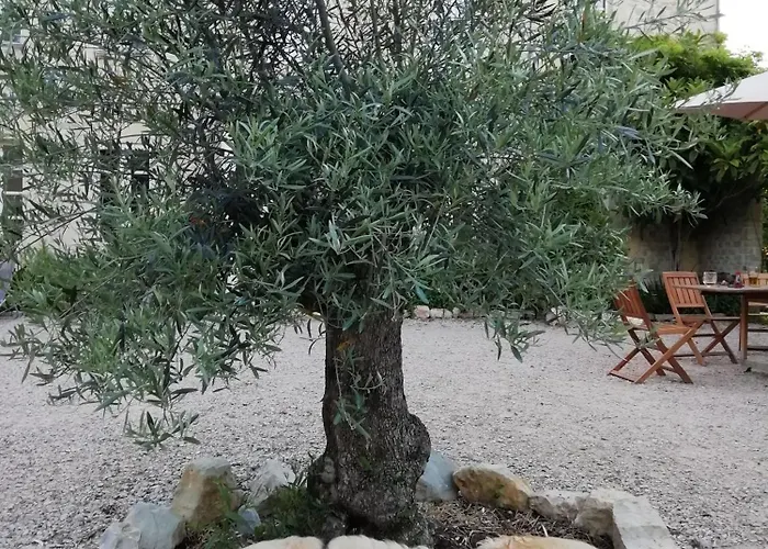 La Cour Souveraine - D'hotes Le Cap 3* Mosles