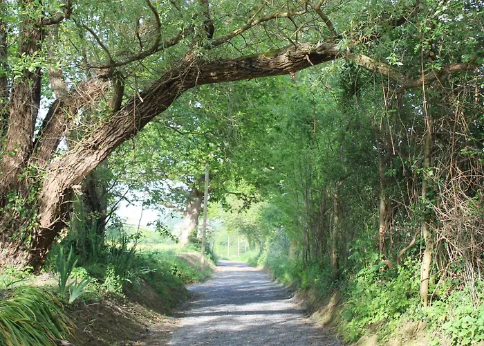 La Cour Souveraine - D'hotes Le Cap Bed & Breakfast 3*